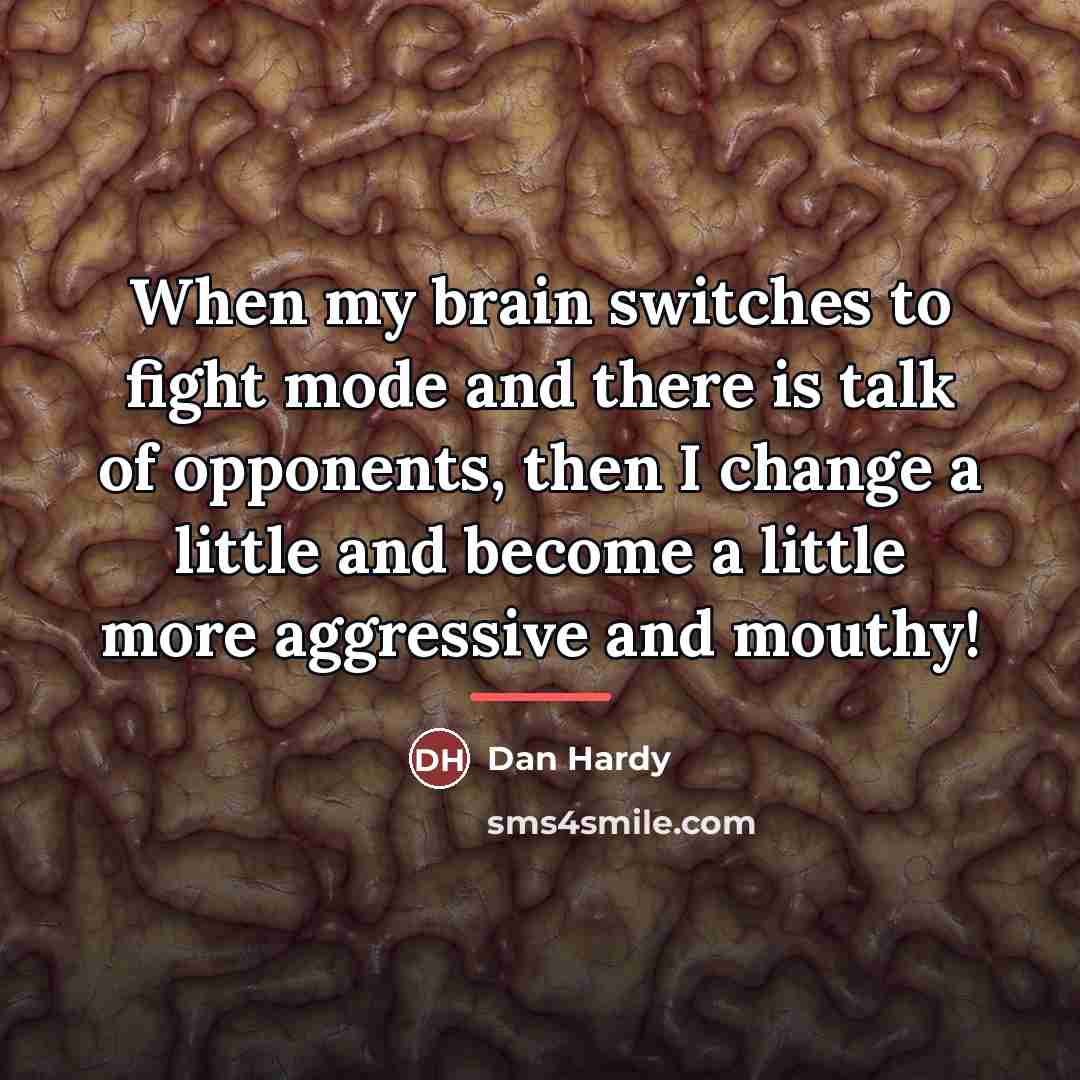 “When my brain switches to fight mode and there is…” quote by Dan Hardy