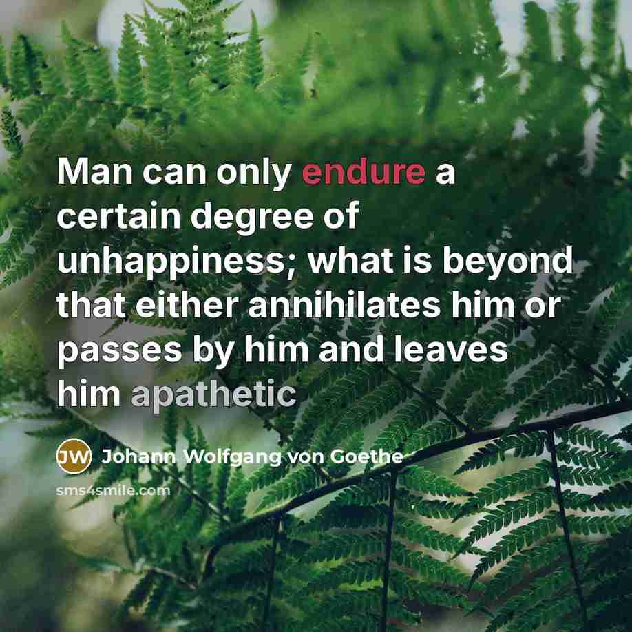 “Man can only endure a certain degree of unhappiness; what…” quote by Johann Wolfgang von Goethe