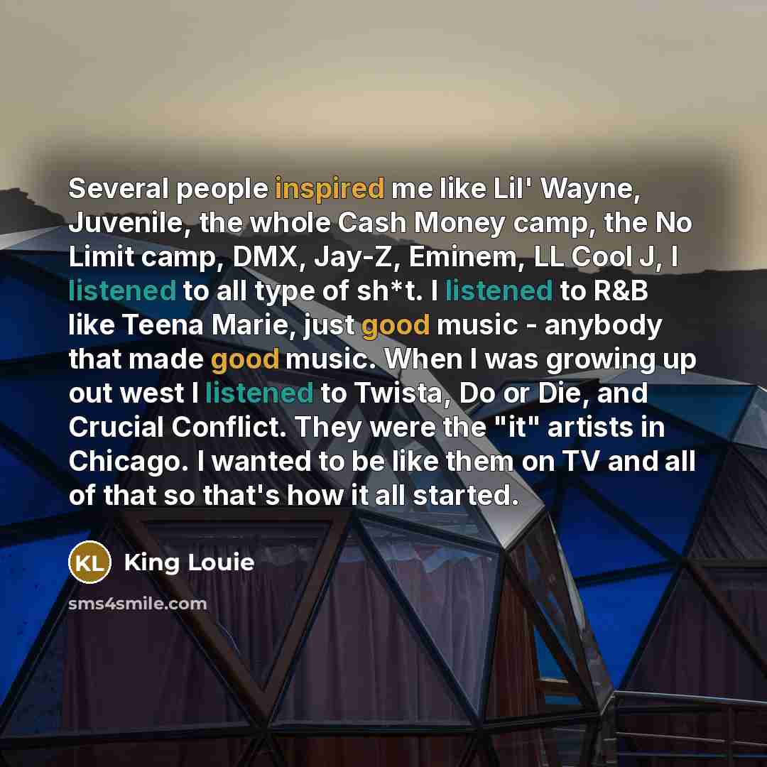 “Several people inspired me like Lil' Wayne, Juvenile, the whole…” quote by King Louie