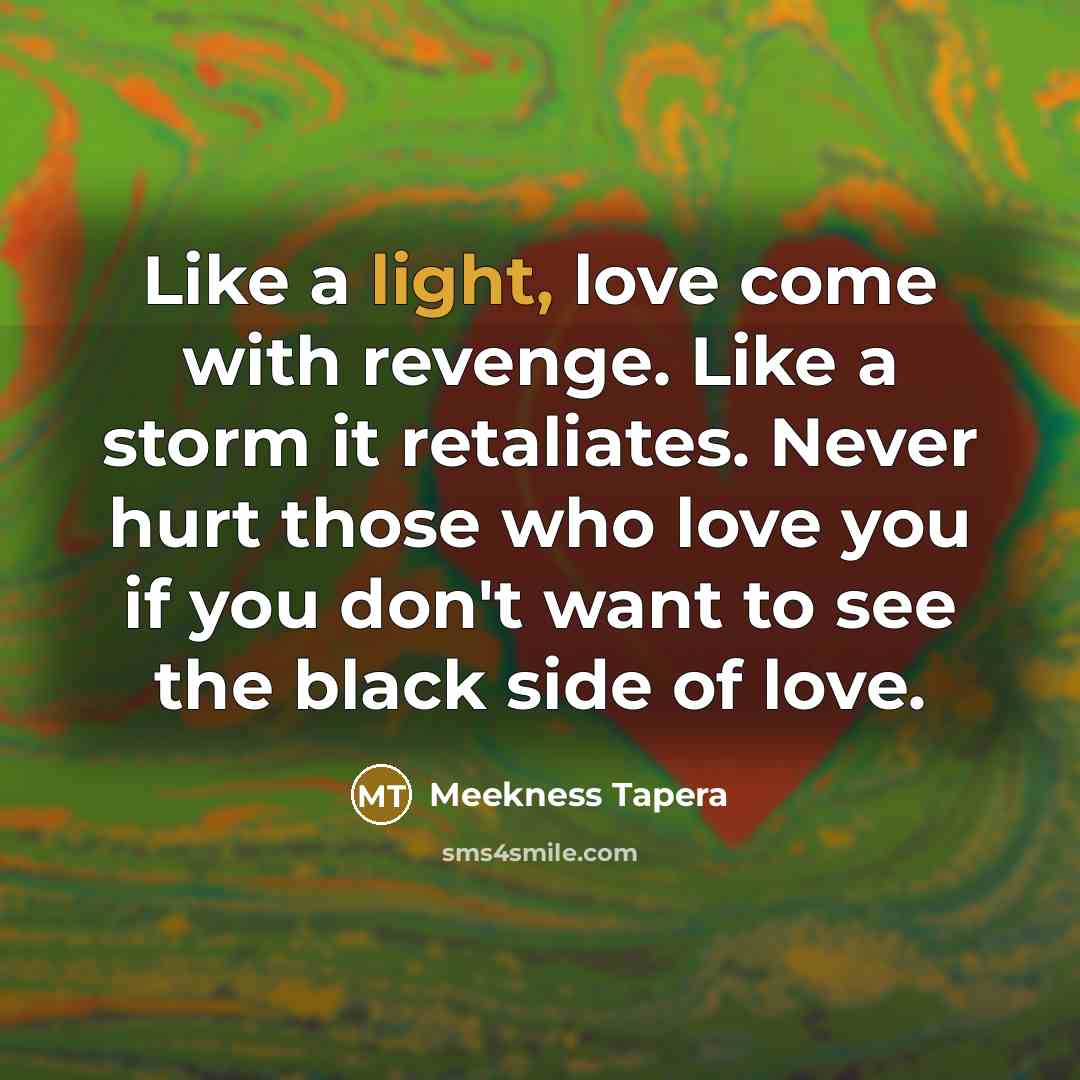 “Like a light, love come with revenge. Like a storm…” quote by Meekness Tapera