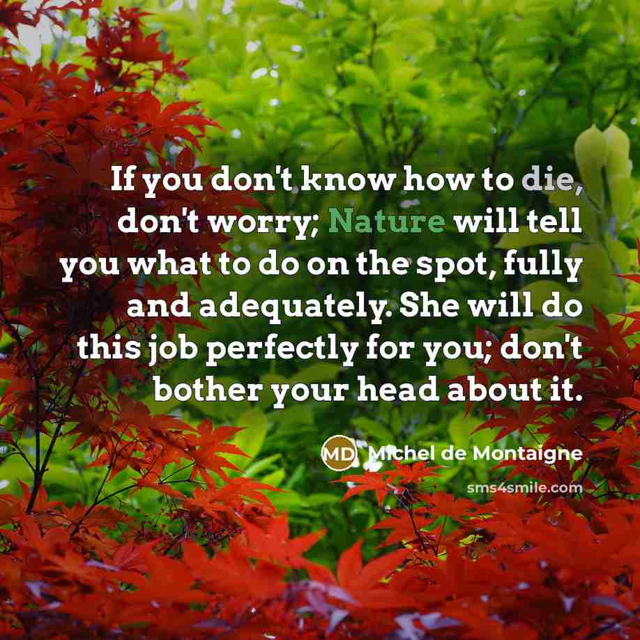 “If you don't know how to die, don't worry; Nature…” quote by Michel de Montaigne