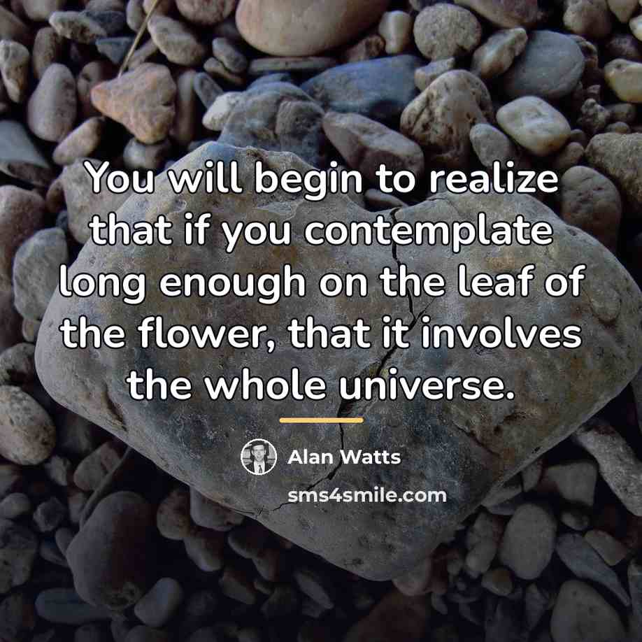 “You will begin to realize that if you contemplate long…” quote by Alan Watts