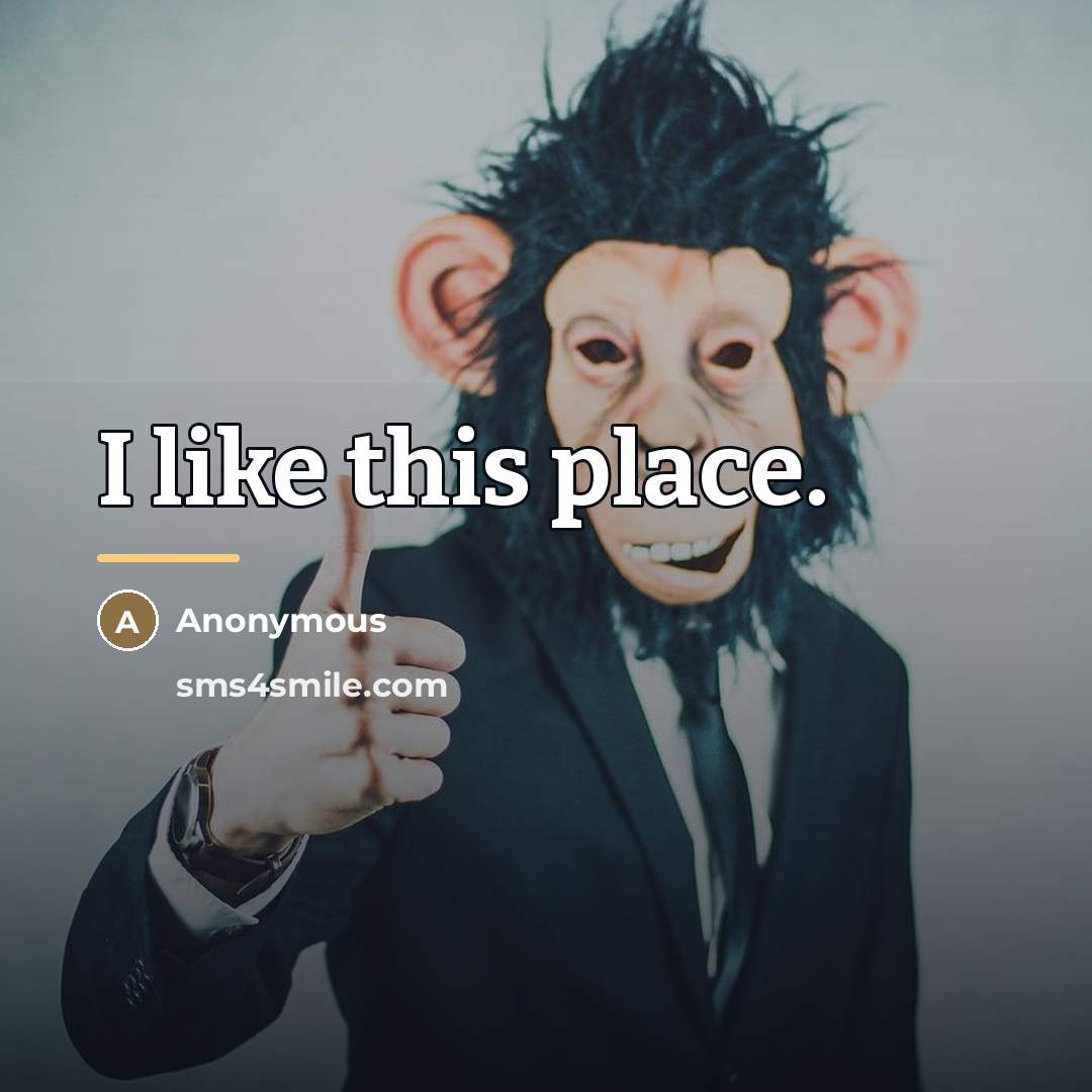 “I like this place.…” quote by Anonymous