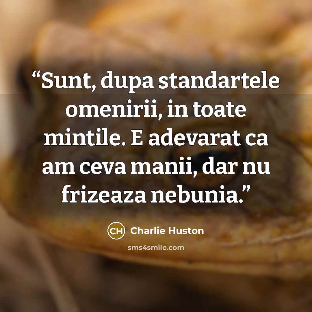 “Sunt, dupa standartele omenirii, in toate mintile. E adevarat ca am ceva manii, dar nu frizeaza nebunia.” quote by Charlie Huston
