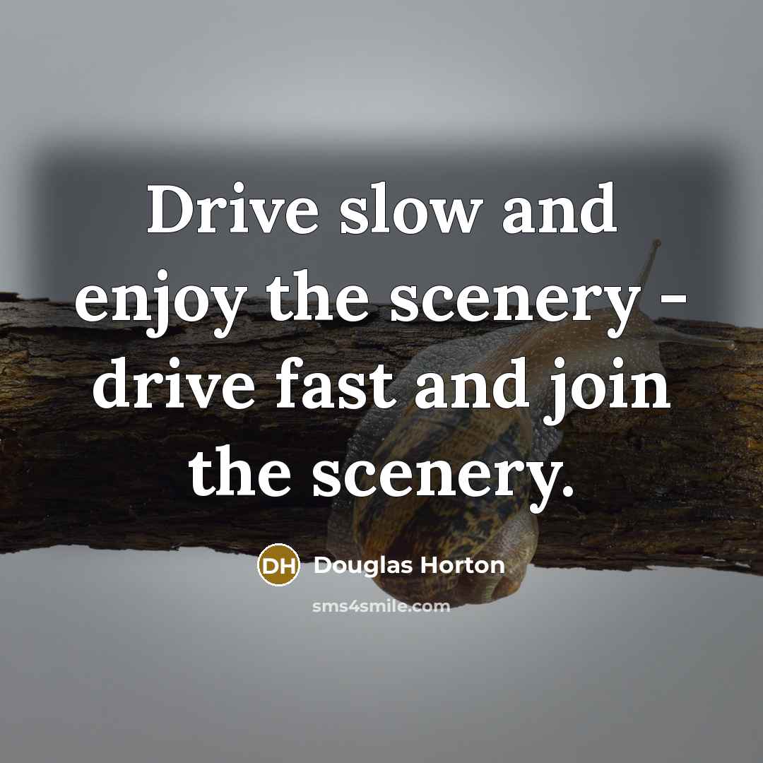 “Drive slow and enjoy the scenery - drive fast and join the scenery.” quote by Douglas Horton