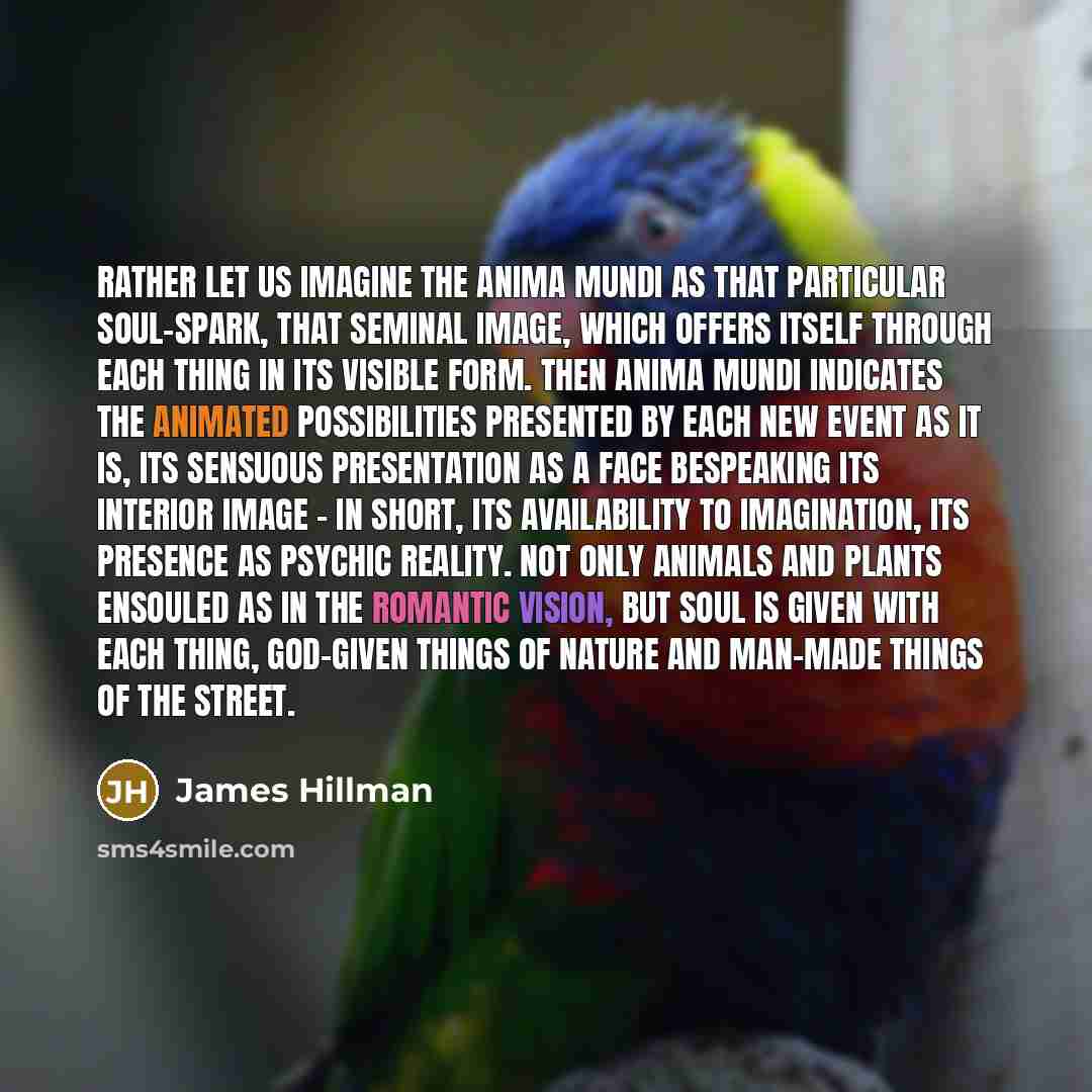“Rather let us imagine the anima mundi as that particular…” quote by James Hillman