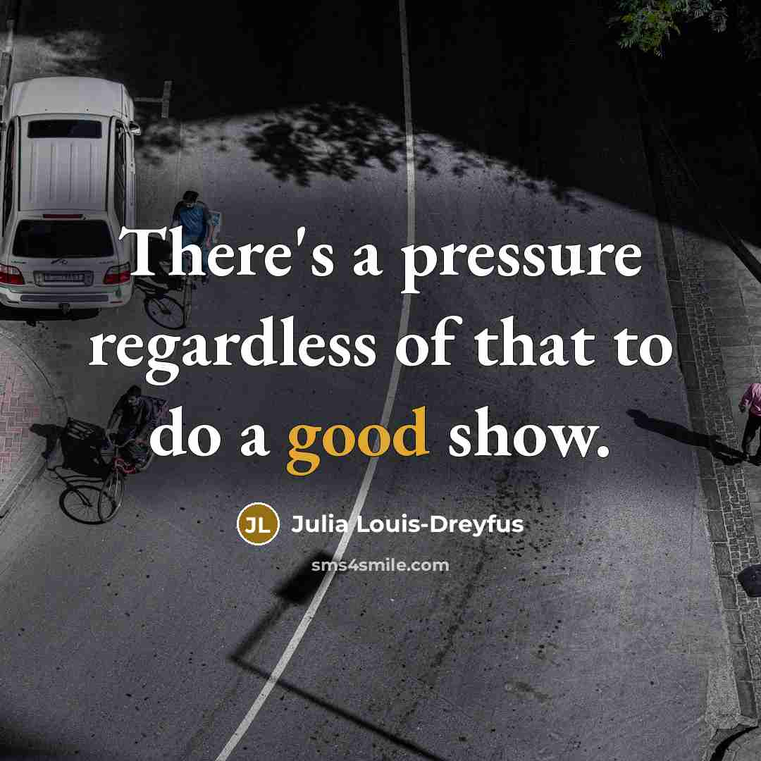 “There's a pressure regardless of that to do a good…” quote by Julia Louis-Dreyfus