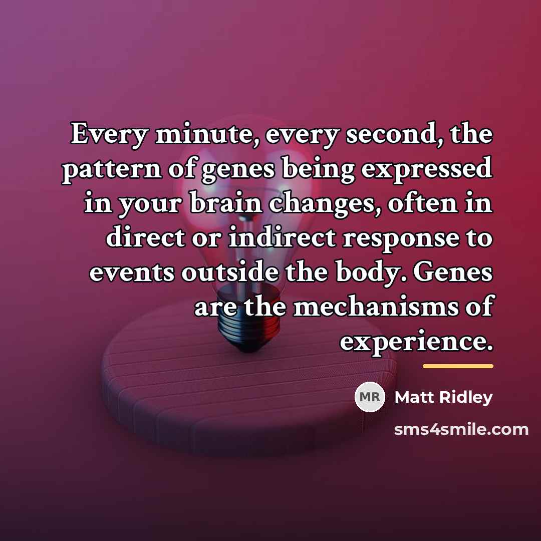 “Every minute, every second, the pattern of genes being expressed…” quote by Matt Ridley