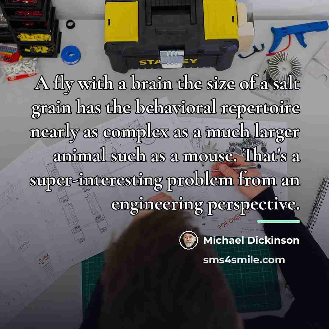 “A fly with a brain the size of a salt…” quote by Michael Dickinson