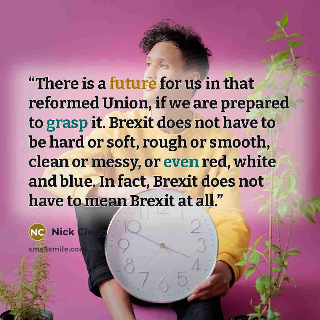 “There is a future for us in that reformed Union, if we are prepared to grasp it. Brexit does not have to be hard or soft, rough or smooth, clean or messy, or even red, white and blue. In fact, Brexit does not have to mean Brexit at all.” quote by Nick Clegg