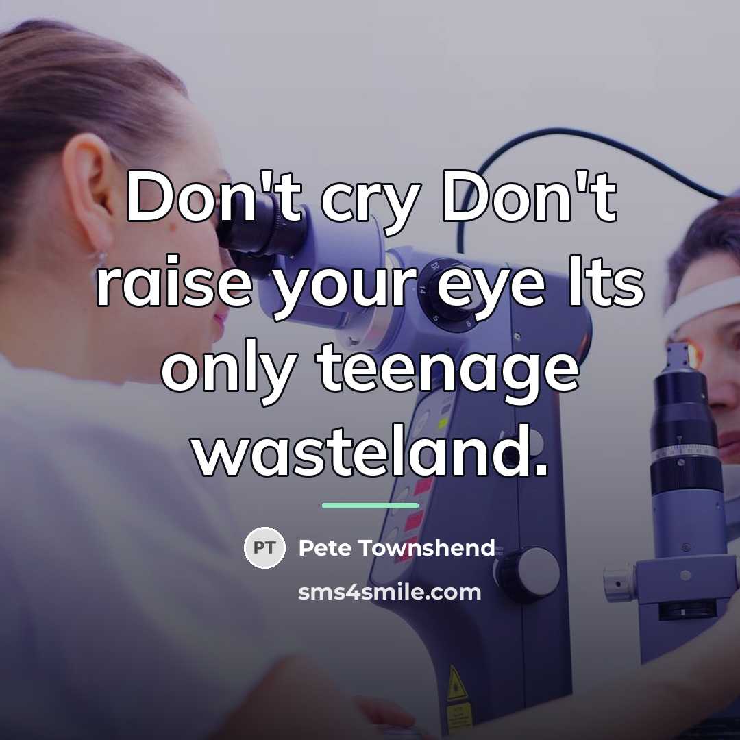 “Don't cry Don't raise your eye Its only teenage wasteland.…” quote by Pete Townshend