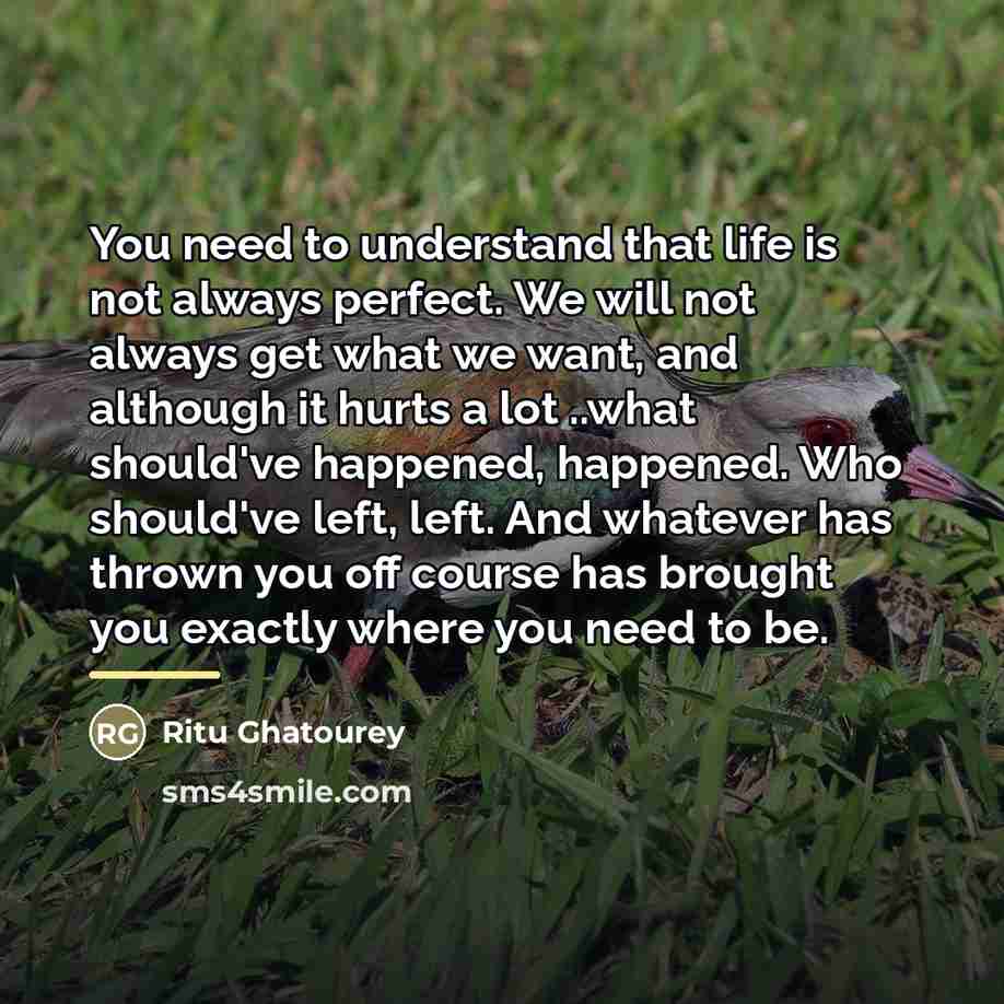 “You need to understand that life is not always perfect.…” quote by Ritu Ghatourey