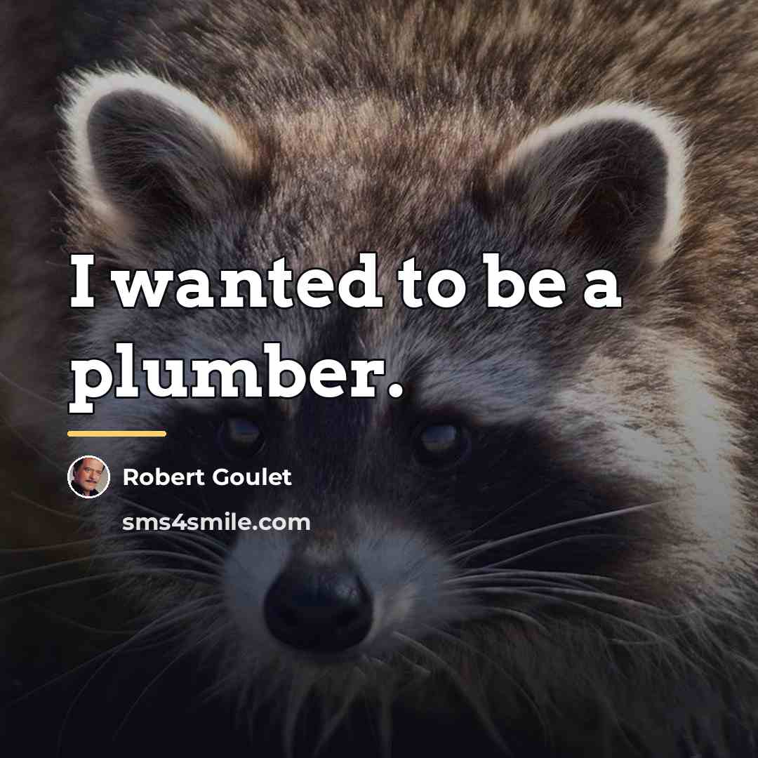“I wanted to be a plumber.…” quote by Robert Goulet