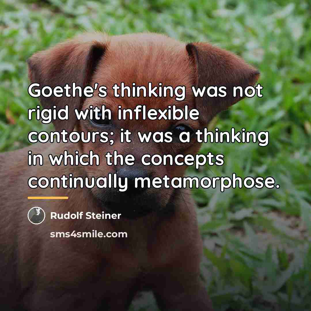 “Goethe's thinking was not rigid with inflexible contours; it was…” quote by Rudolf Steiner