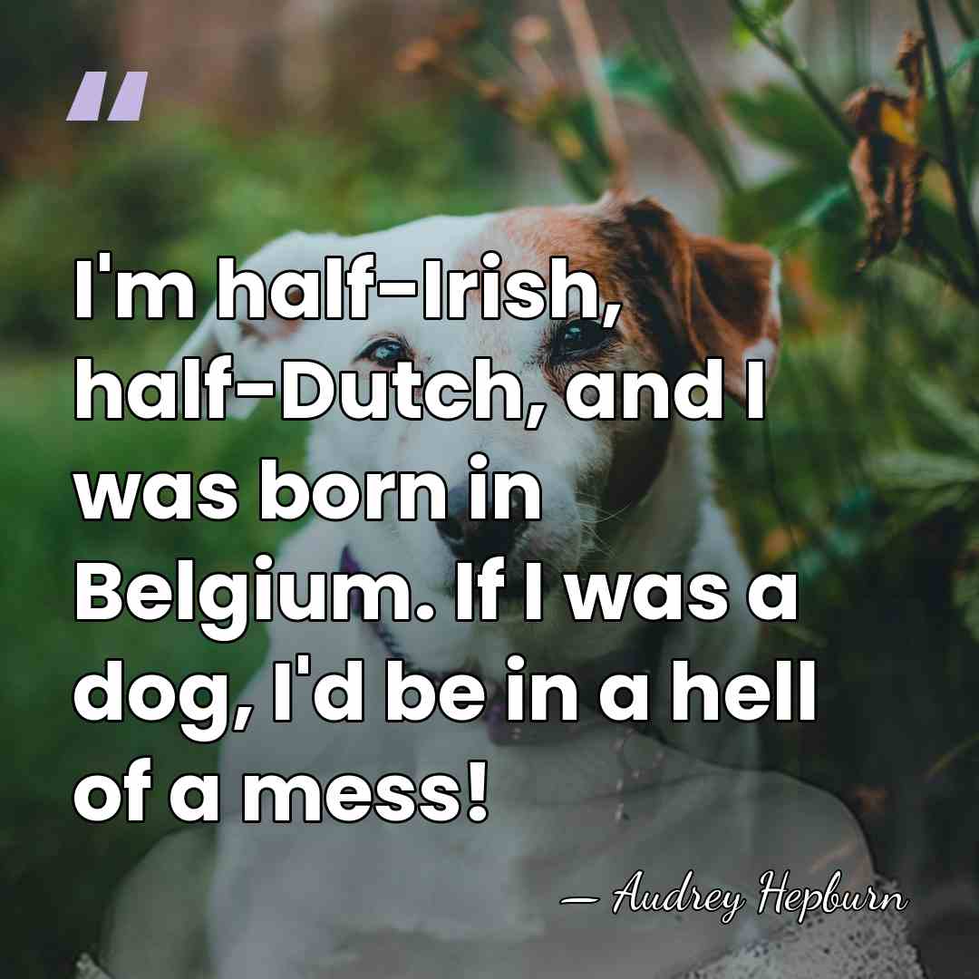 I'm half-Irish, half-Dutch, and I was born in Belgium. If I was&hellip; - Audrey Hepburn