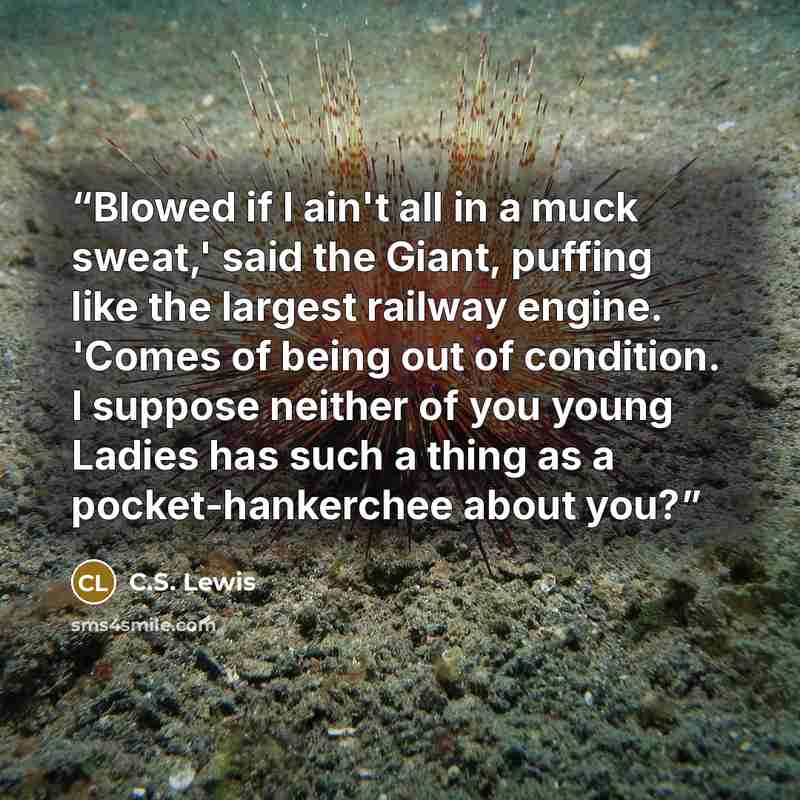 “Blowed if I ain't all in a muck sweat,' said the Giant, puffing like the largest railway engine. 'Comes of being out of condition. I suppose neither of you young Ladies has such a thing as a pocket-hankerchee about you?” quote by C.S. Lewis