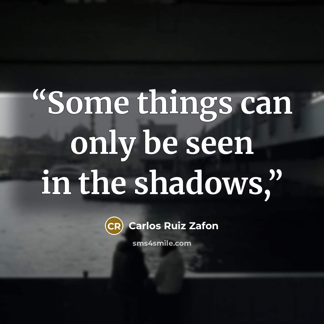“Some things can only be seen in the shadows,” quote by Carlos Ruiz Zafón