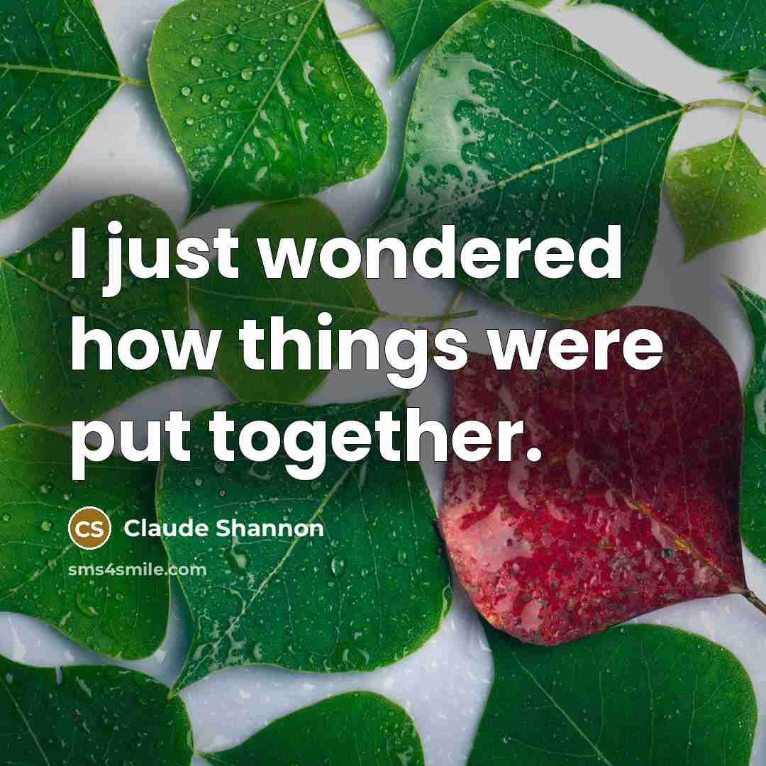 “I just wondered how things were put together.…” quote by Claude Shannon