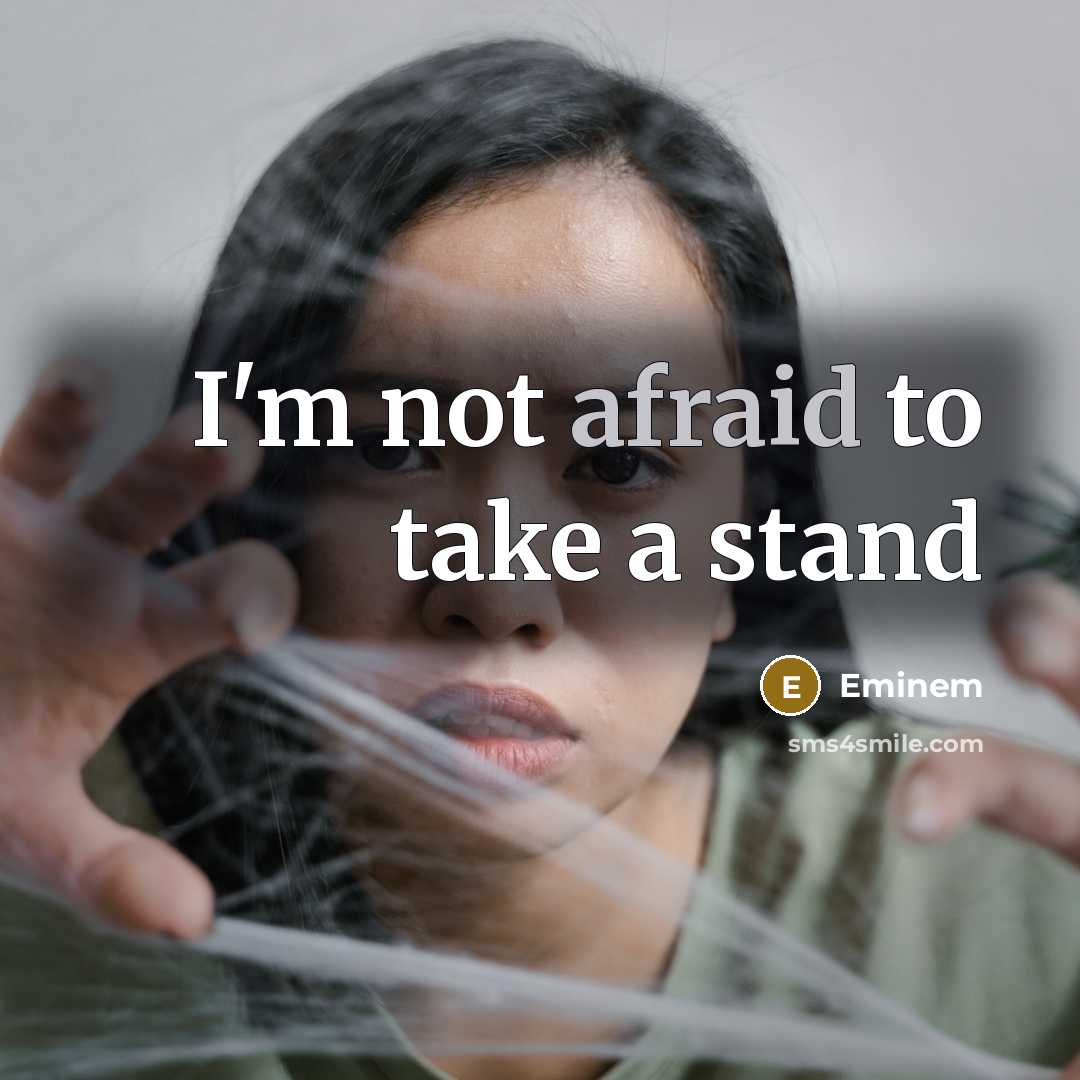 “I'm not afraid to take a stand” quote by Eminem
