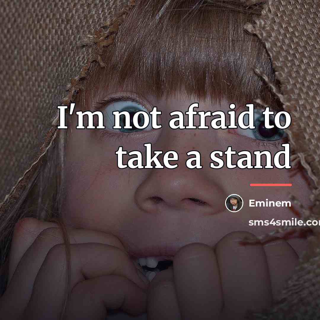 “I'm not afraid to take a stand…” quote by Eminem