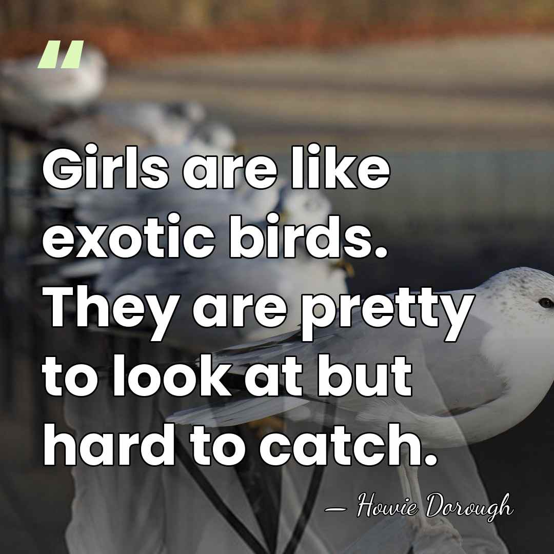 Girls are like exotic birds. They are pretty to look at but&hellip; - Howie Dorough