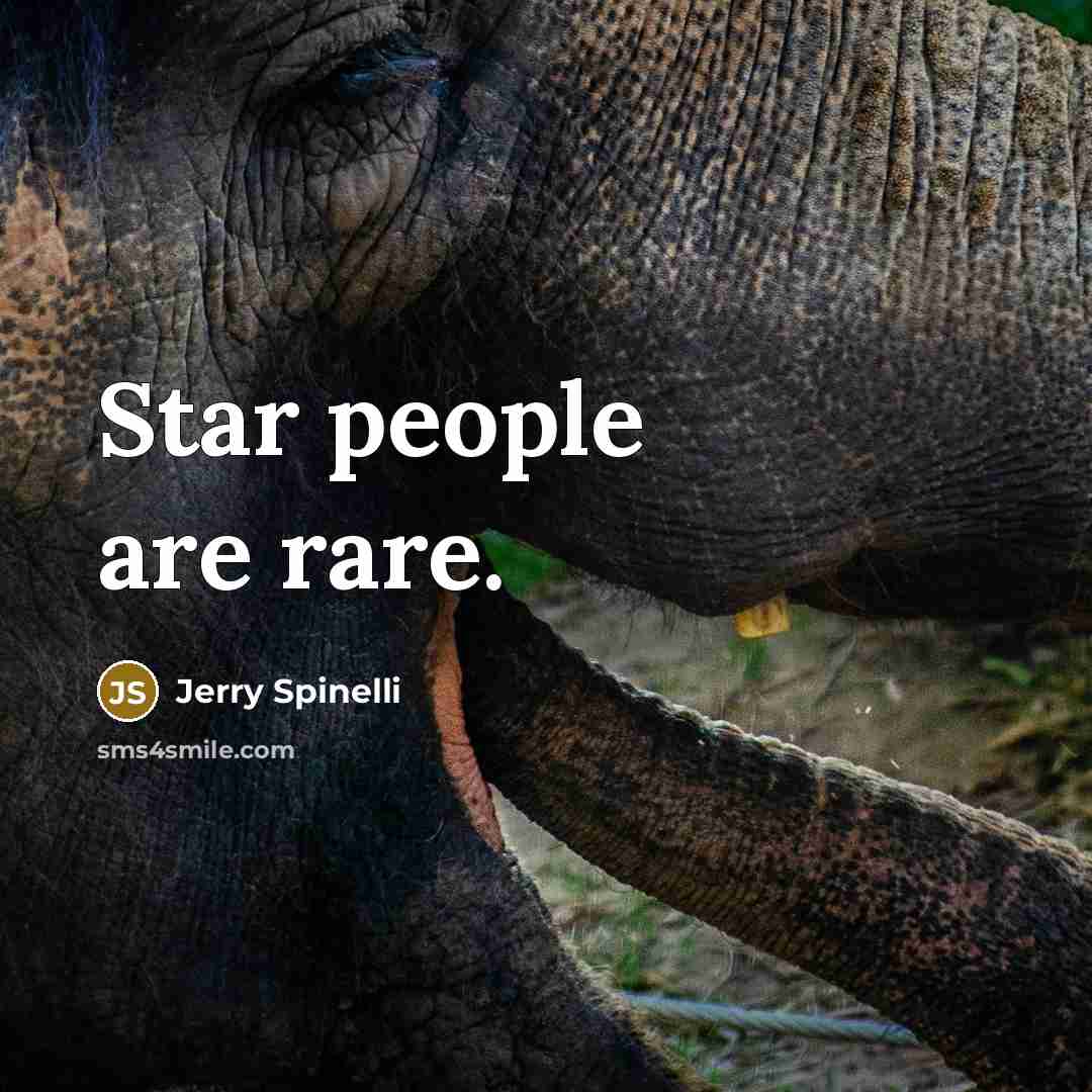 “Star people are rare.…” quote by Jerry Spinelli