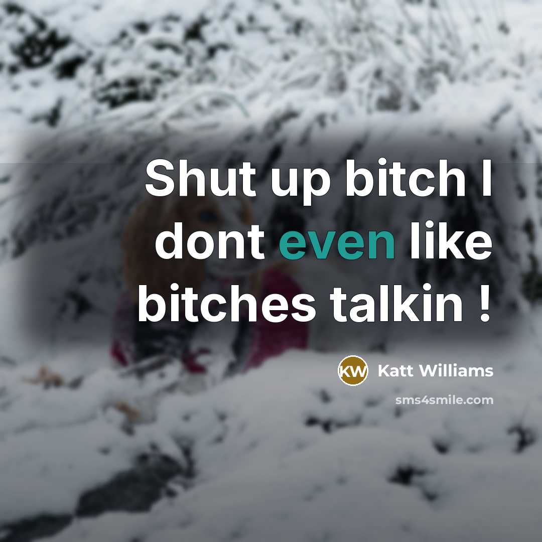 “Shut up bitch I dont even like bitches talkin !…” quote by Katt Williams
