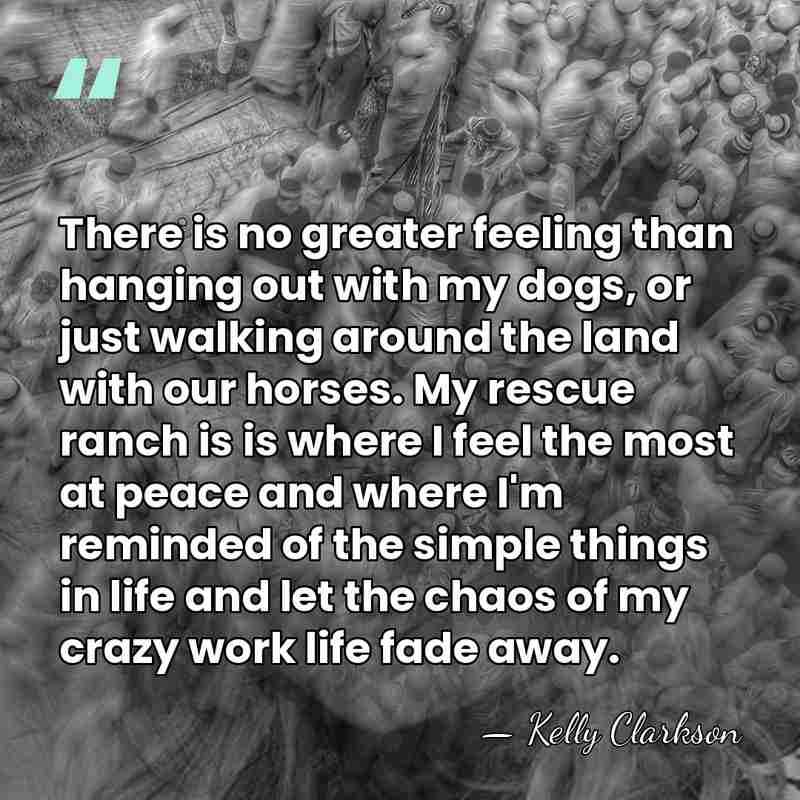 There is no greater feeling than hanging out with my dogs, or&hellip; - Kelly Clarkson