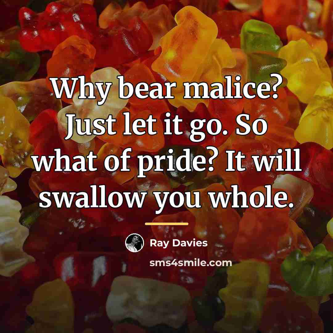 “Why bear malice? Just let it go. So what of…” quote by Ray Davies