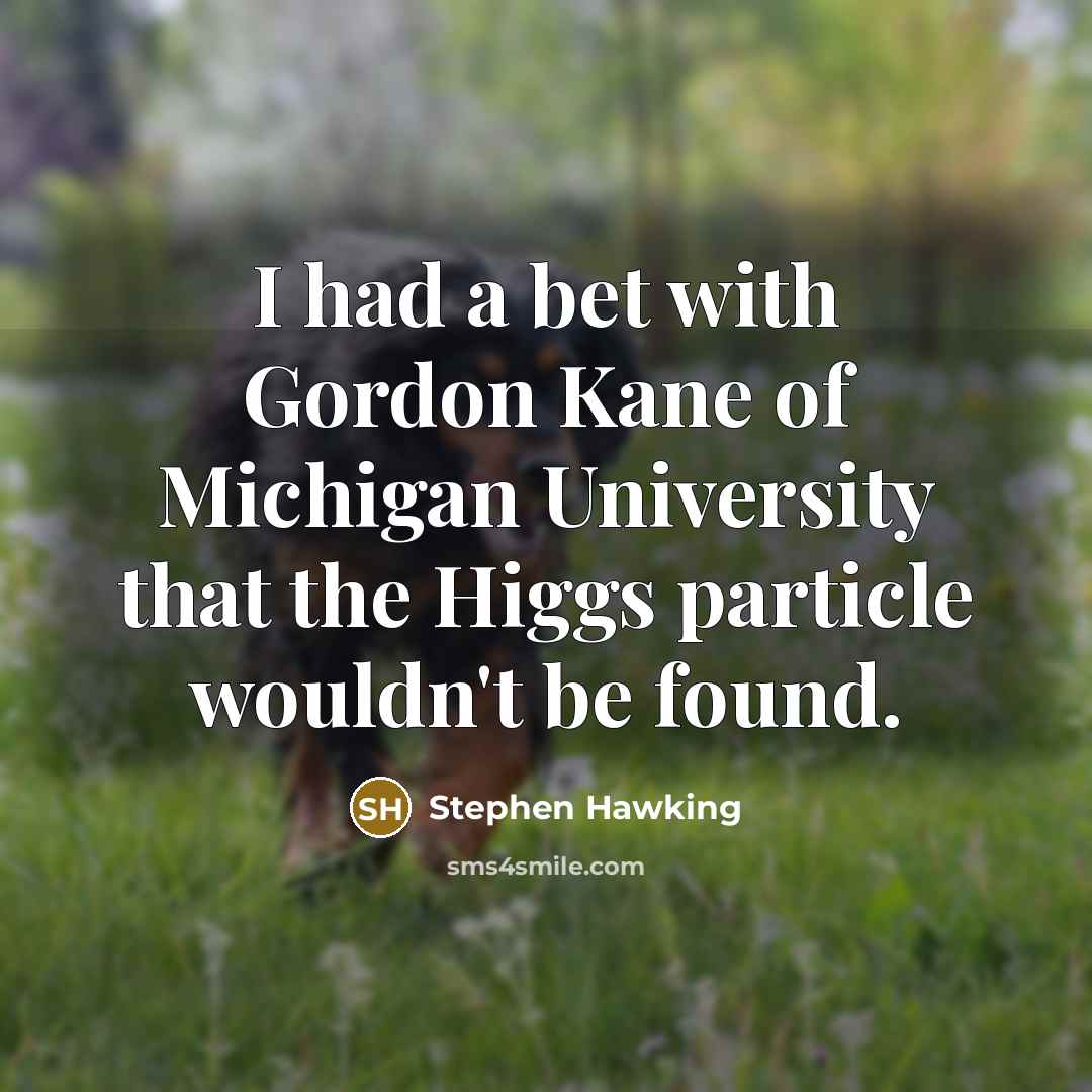 “I had a bet with Gordon Kane of Michigan University…” quote by Stephen Hawking