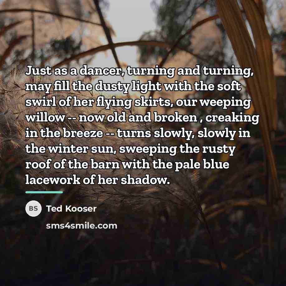 “Just as a dancer, turning and turning, may fill the…” quote by Ted Kooser