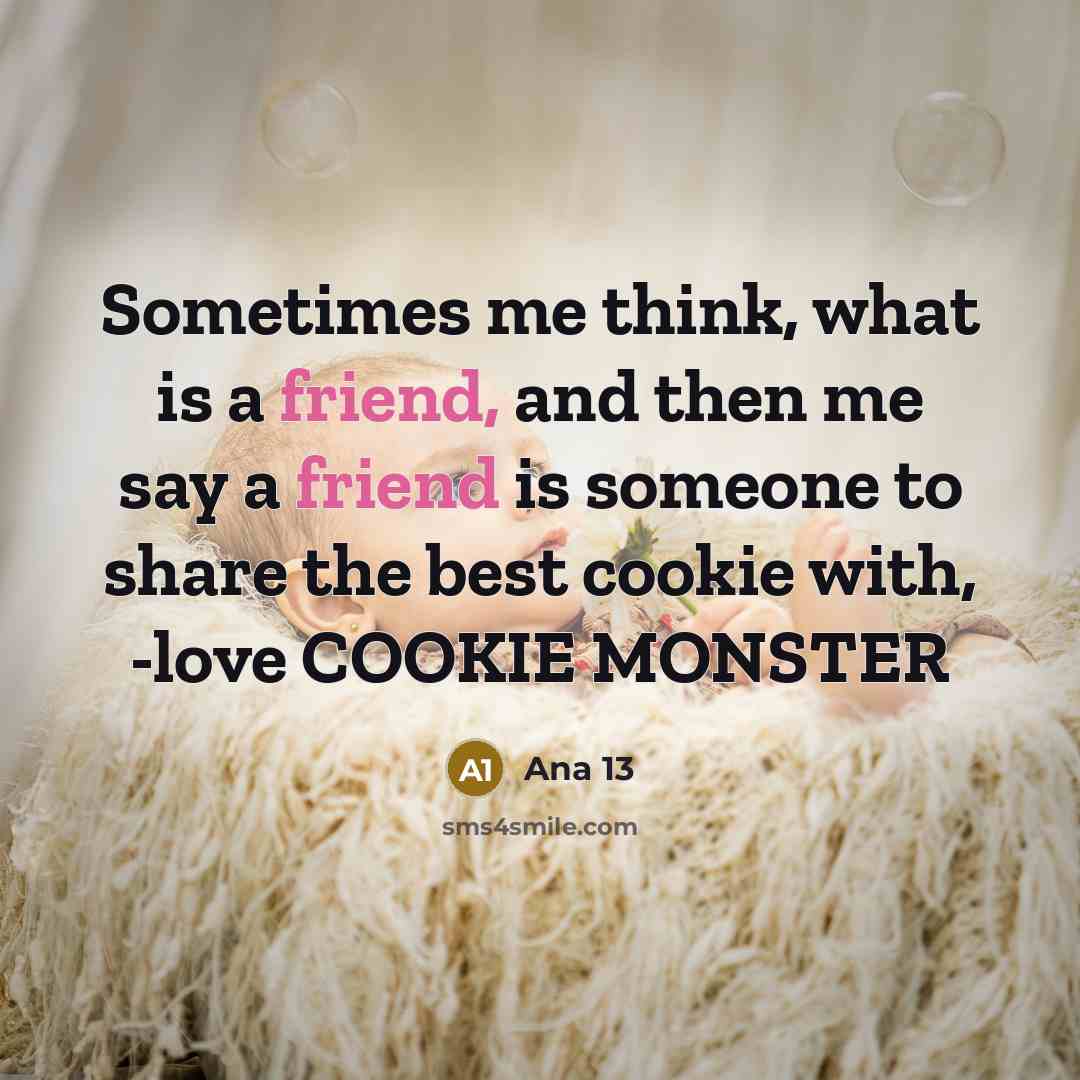 “Sometimes me think, what is a friend, and then me say a friend is someone to share the best cookie with, -love COOKIE MONSTER” quote by Ana 13