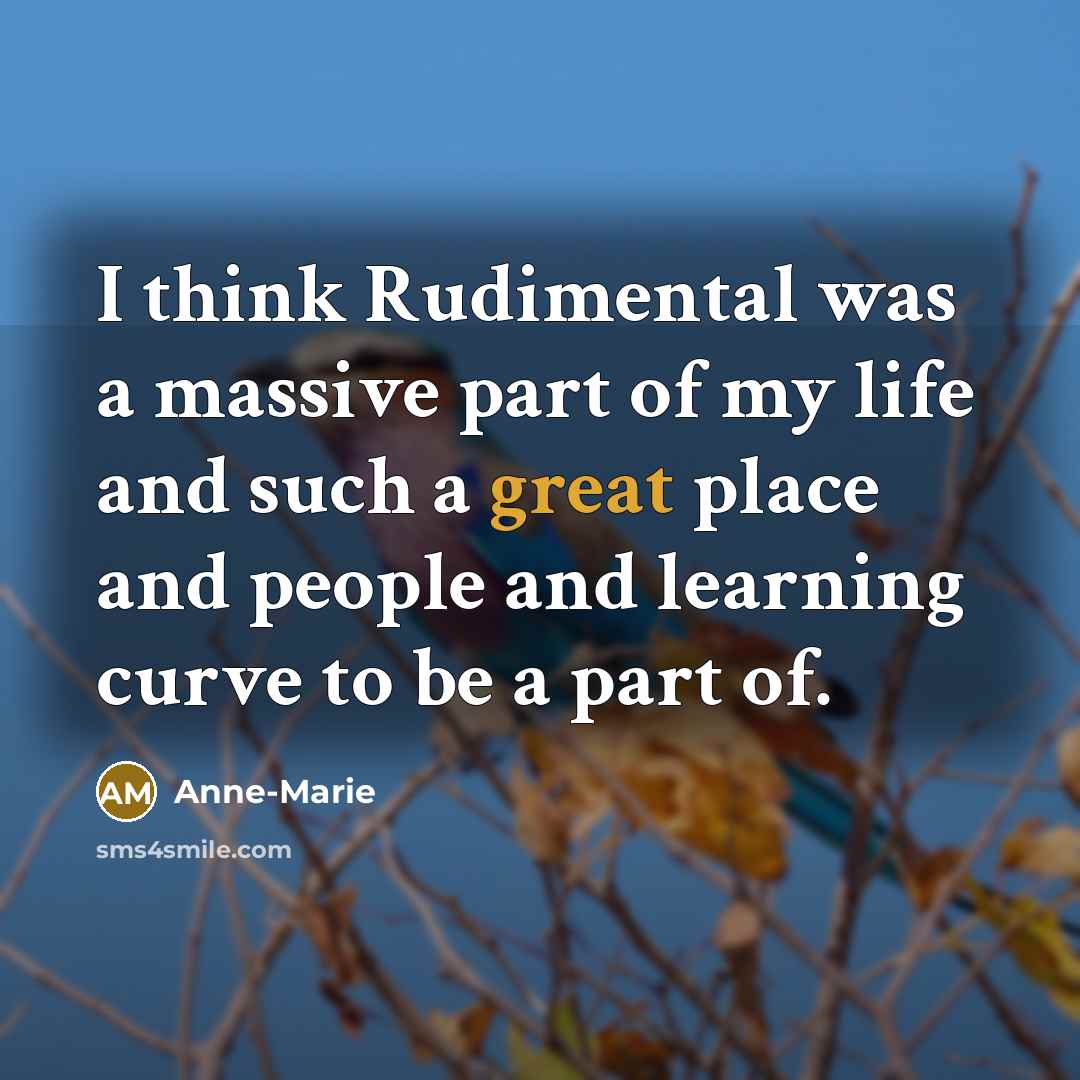 “I think Rudimental was a massive part of my life…” quote by Anne-Marie