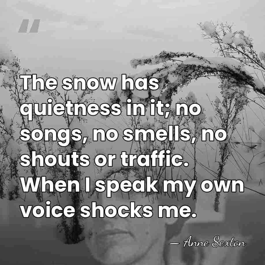 The snow has quietness in it; no songs, no smells, no shouts&hellip; - Anne Sexton