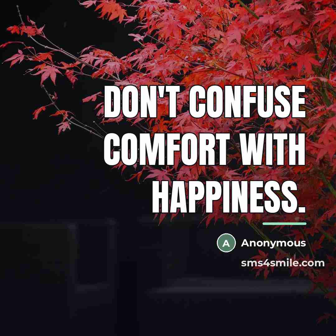 “Don't confuse comfort with happiness.…” quote by Anonymous