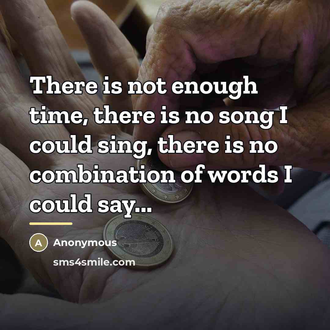 “There is not enough time, there is no song I…” quote by Anonymous