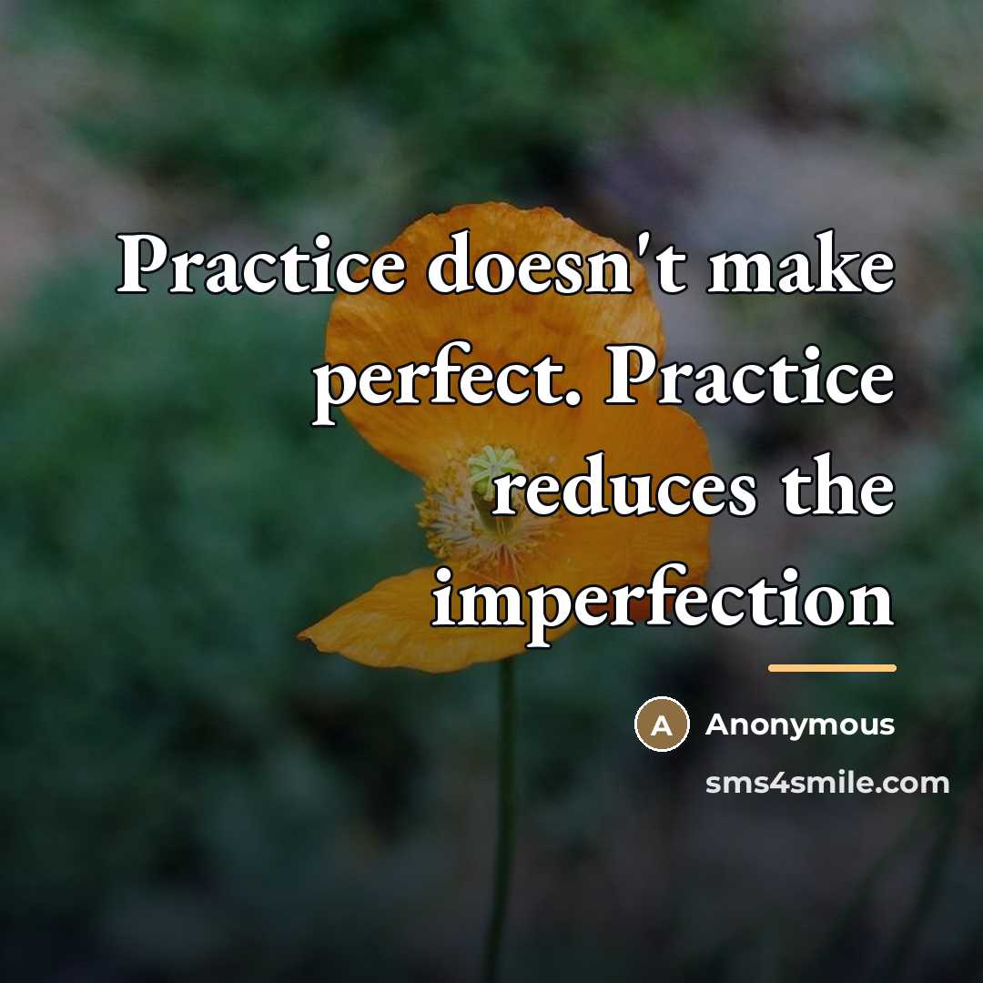 “Practice doesn't make perfect. Practice reduces the imperfection…” quote by Anonymous