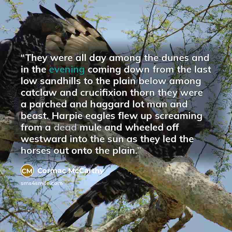 “They were all day among the dunes and in the evening coming down from the last low sandhills to the plain below among catclaw and crucifixion thorn they were a parched and haggard lot man and beast. Harpie eagles flew up screaming from a dead mule and wheeled off westward into the sun as they led…” quote by Cormac McCarthy