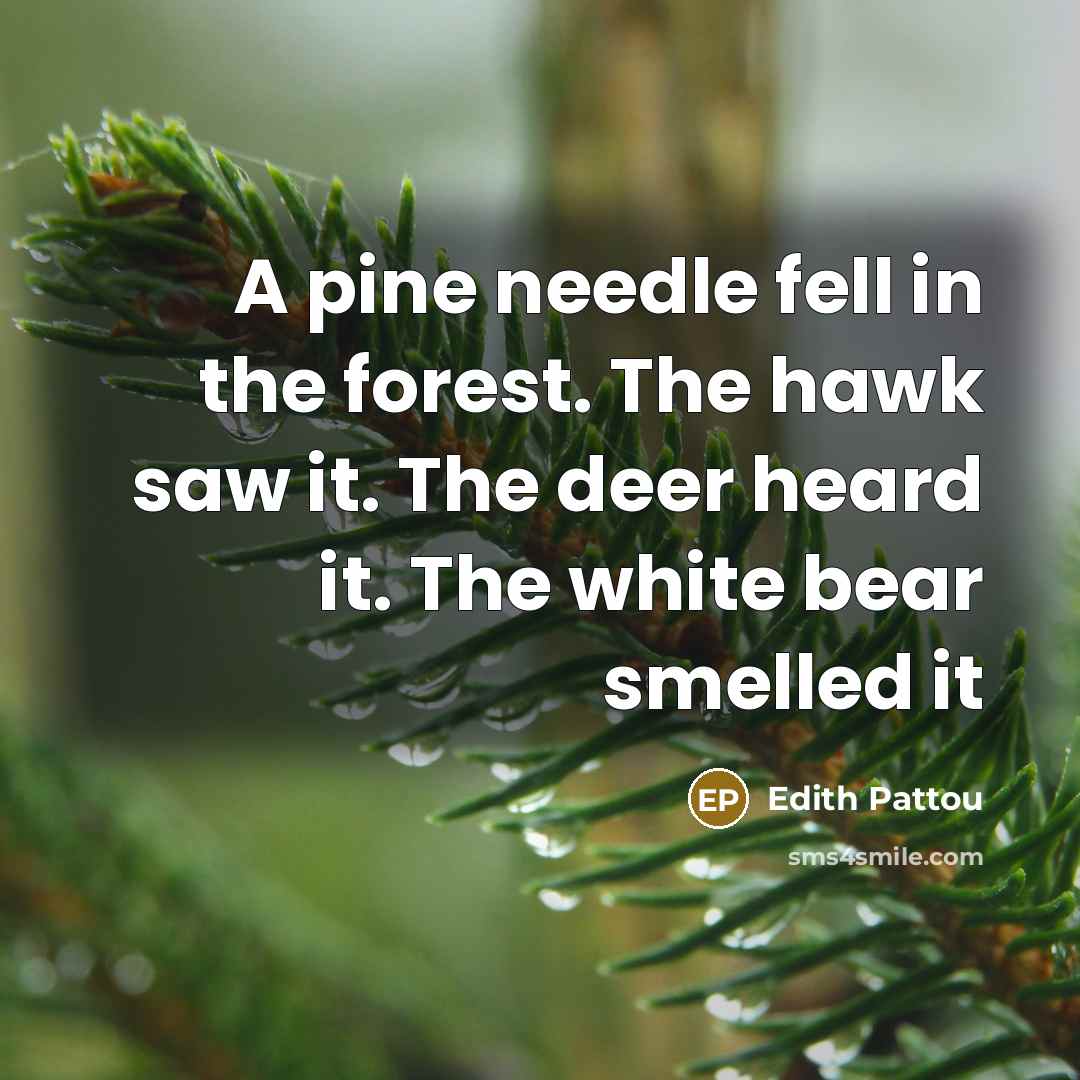 “A pine needle fell in the forest. The hawk saw…” quote by Edith Pattou