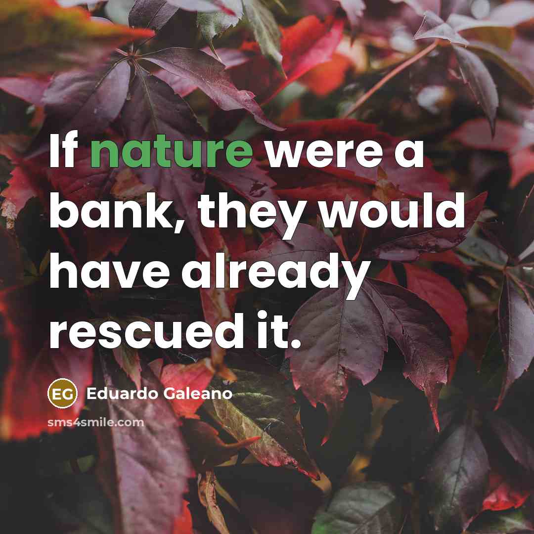 “If nature were a bank, they would have already rescued…” quote by Eduardo Galeano