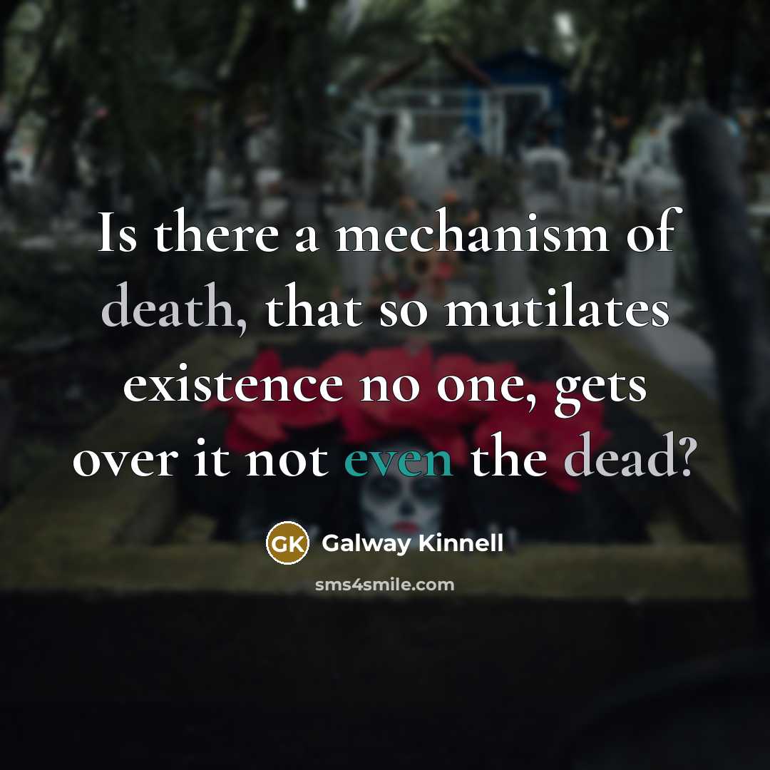 “Is there a mechanism of death, that so mutilates existence…” quote by Galway Kinnell