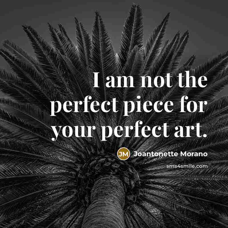 “I am not the perfect piece for your perfect art.…” quote by Joantonette Morano