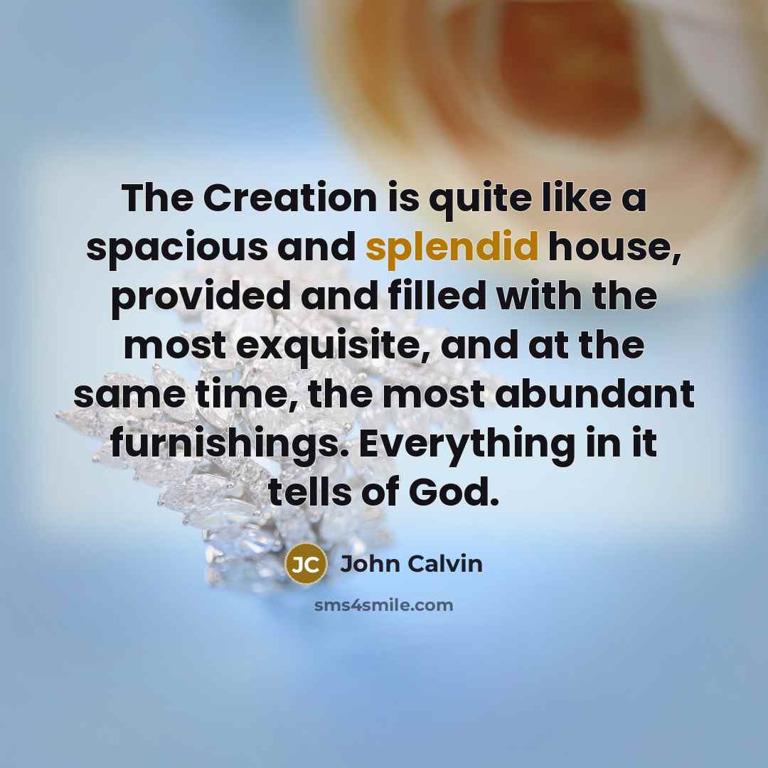 “The Creation is quite like a spacious and splendid house,…” quote by John Calvin