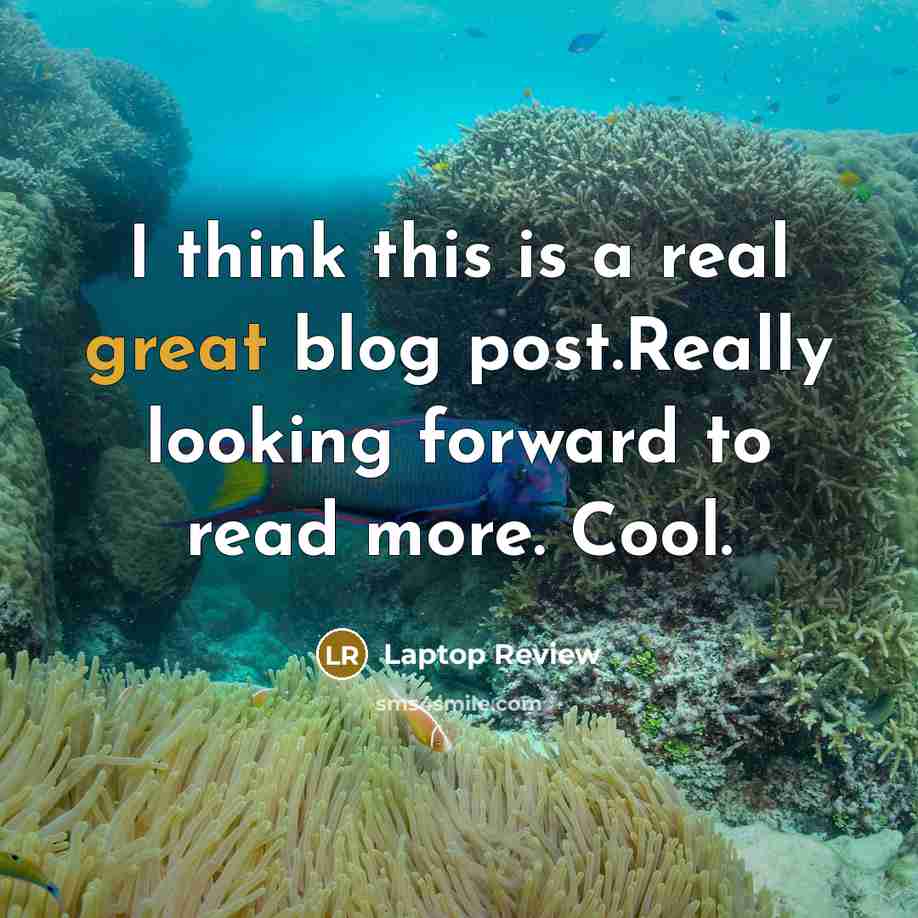 “I think this is a real great blog post.Really looking forward to read more. Cool.” quote by Laptop Review