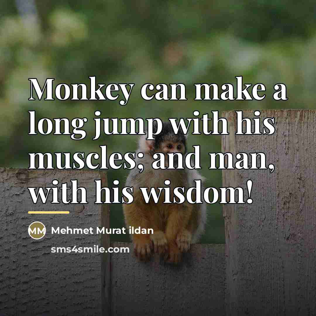 “Monkey can make a long jump with his muscles; and…” quote by Mehmet Murat Ildan