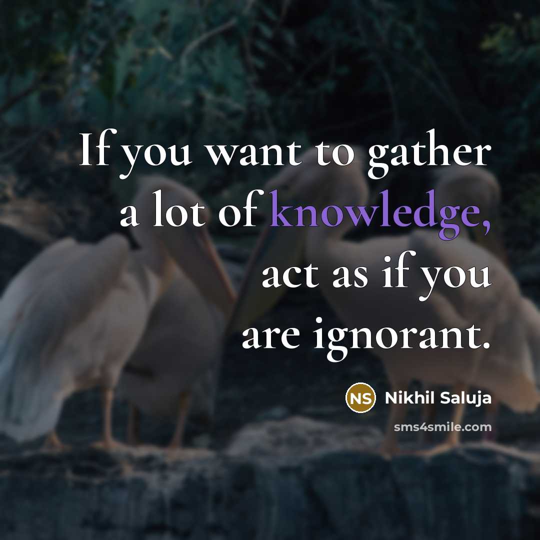 “If you want to gather a lot of knowledge, act…” quote by Nikhil Saluja