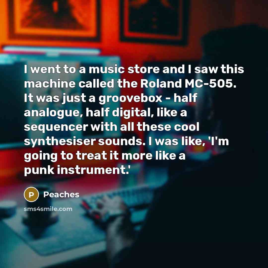 “I went to a music store and I saw this…” quote by Peaches