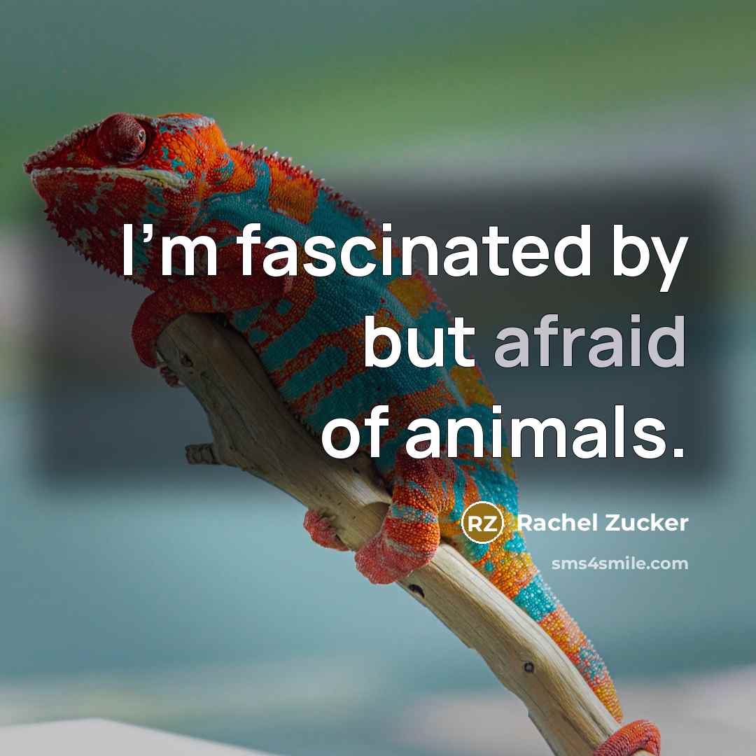 “I'm fascinated by but afraid of animals.” quote by Rachel Zucker