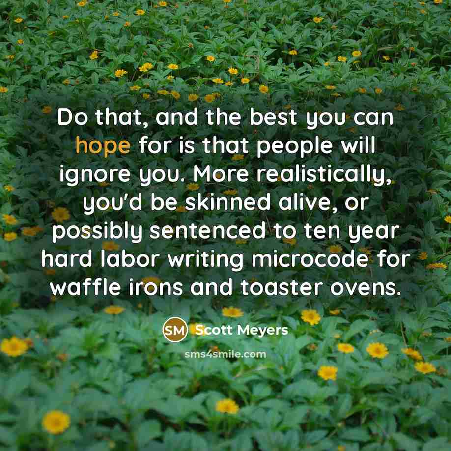 “Do that, and the best you can hope for is…” quote by Scott Meyers