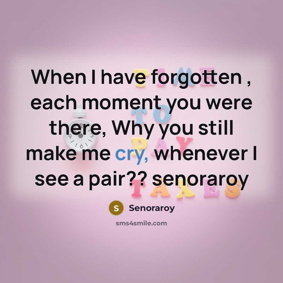 “When I have forgotten , each moment you were there, Why you still make me cry, whenever I see a pair?? senoraroy” quote by Senoraroy